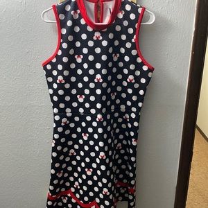 Her Universe Minnie Mouse Dress